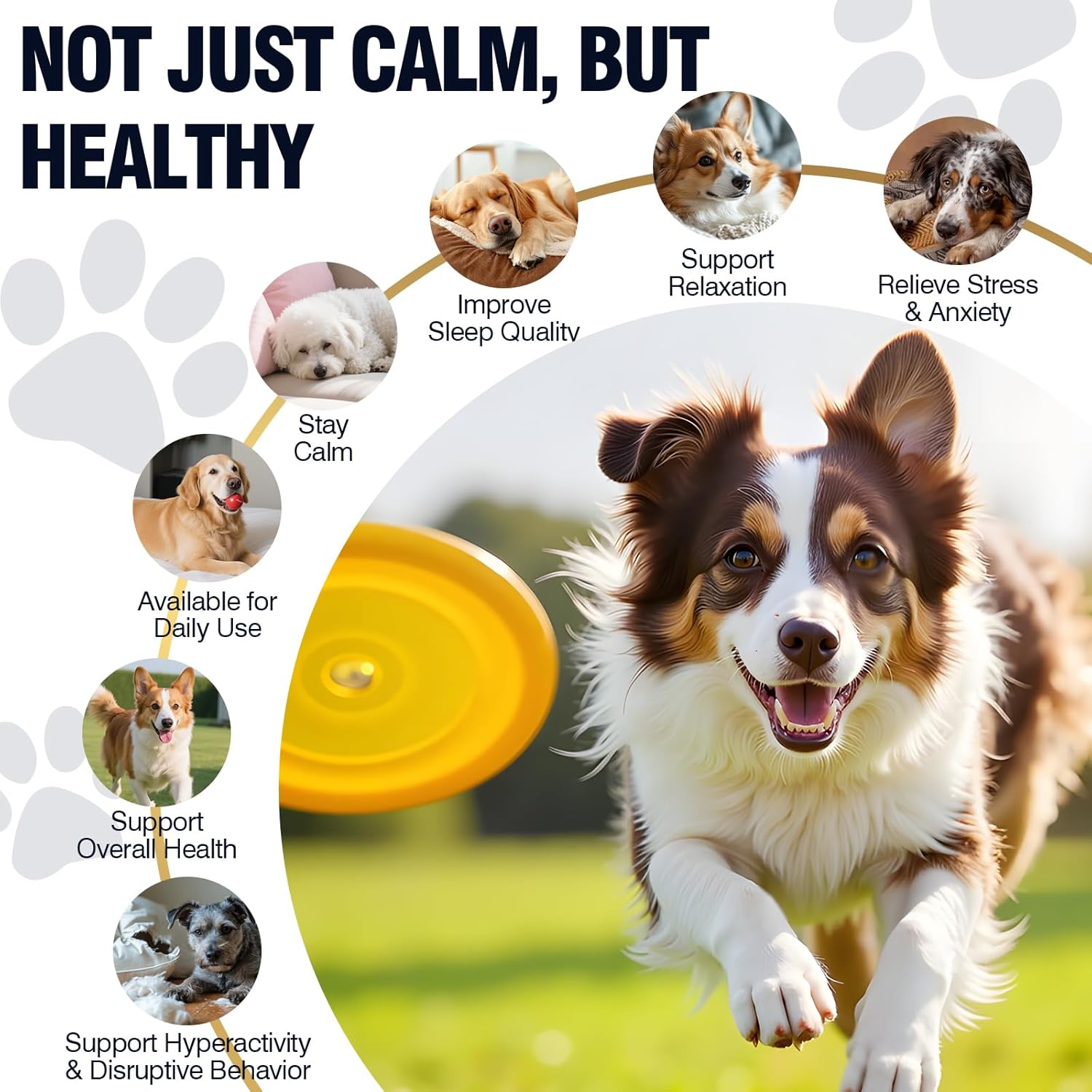 Not just calm but healthy: supports relaxation, sleep quality and everyday wellness